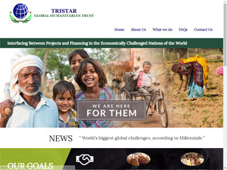 Website Design / Development & SEO Tristar Global